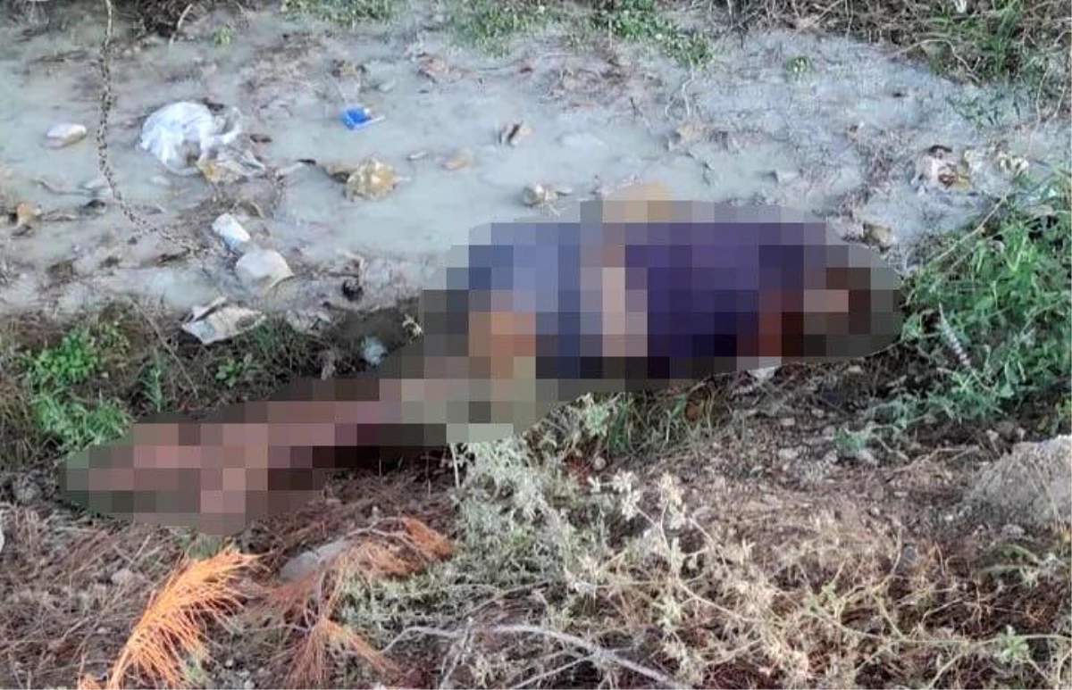 Adana'da dere kenarında kadın cesedi bulundu