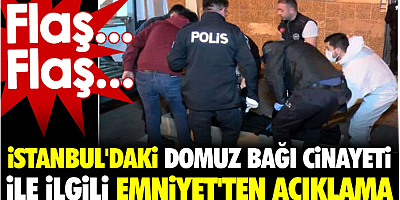 İstanbul'daki domuz bağı cinayeti ile ilgili Emniyet'ten açıklama