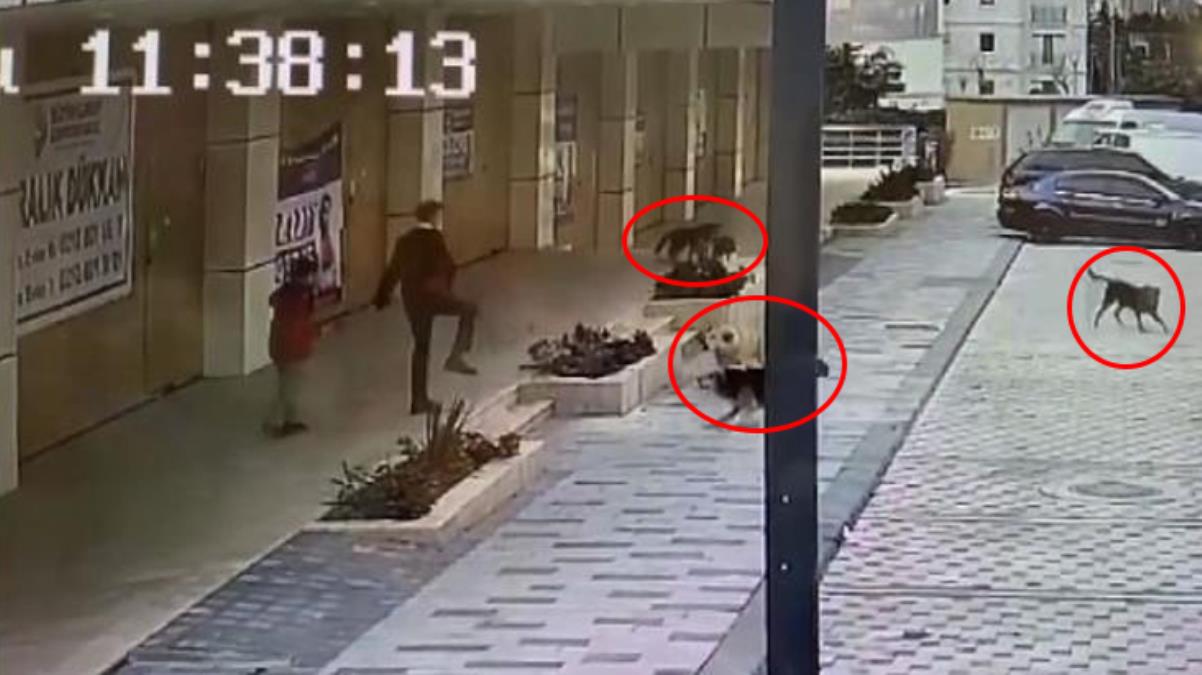  Babanın mücadelesi anbean kamerada