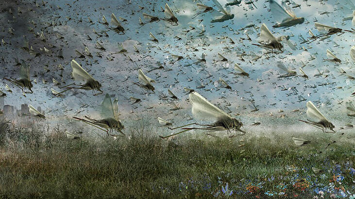  Her gün 150 kilometre yol kat ediyorlar