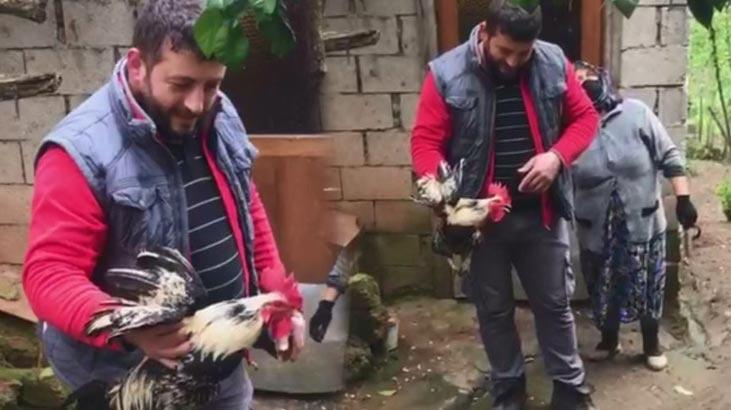  Horozu kesecekken...