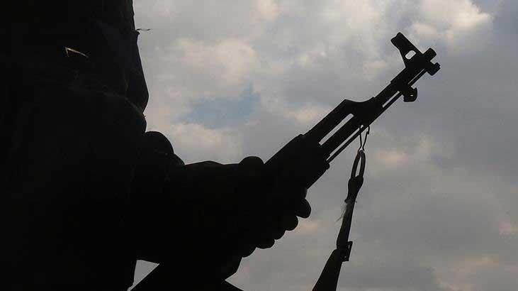  İkna edilen 2 PKK'lı terörist daha teslim oldu