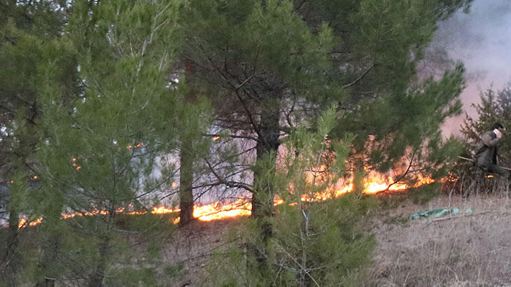  İstanbul'da orman yangını! Helikopter desteği istendi