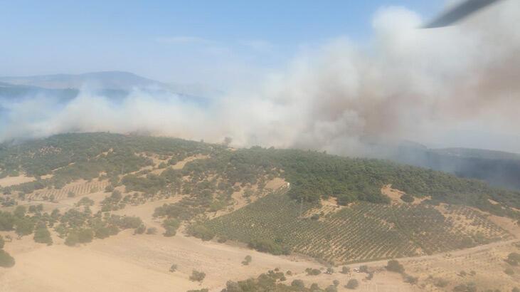  İzmir'de makilik alanda yangın! Ekipler müdahaleye başladı