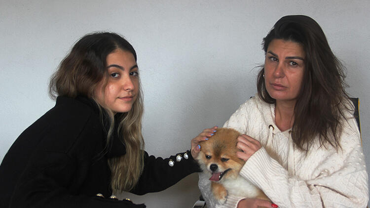  köpeği ezmekle suçlandı!