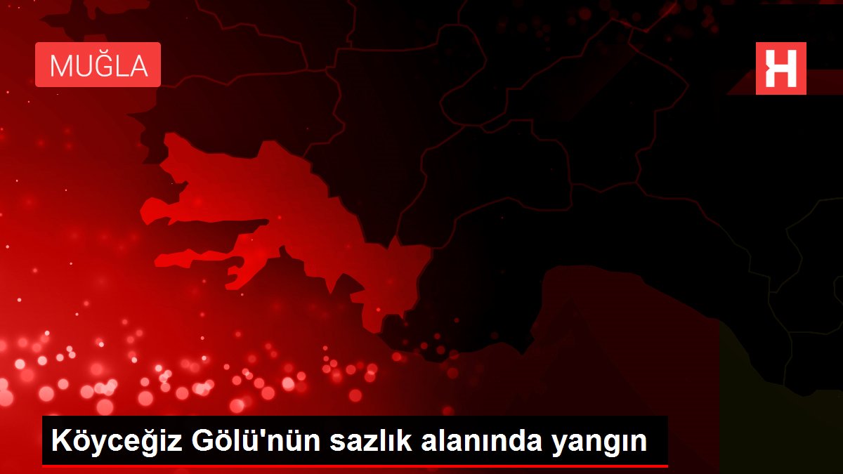 ! Köyceğiz Gölü'nün sazlık alanında yangın