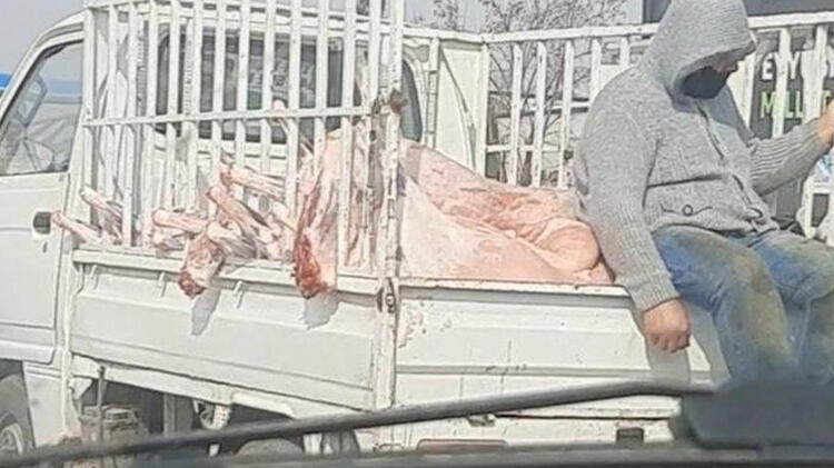  Şanlıurfa’da iğrenç olay! Kilolarca et kamyonetle taşındı