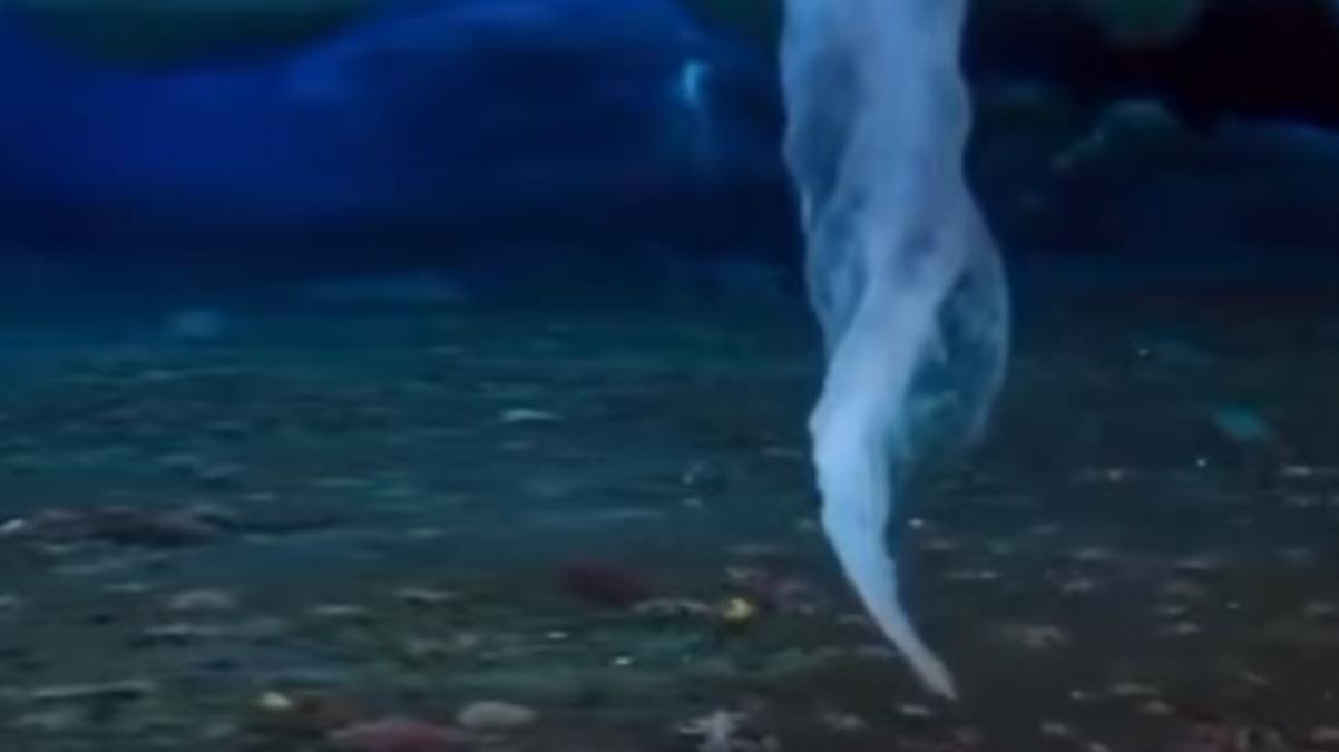  Temas ettiği her şeyi kaskatı kesiyor