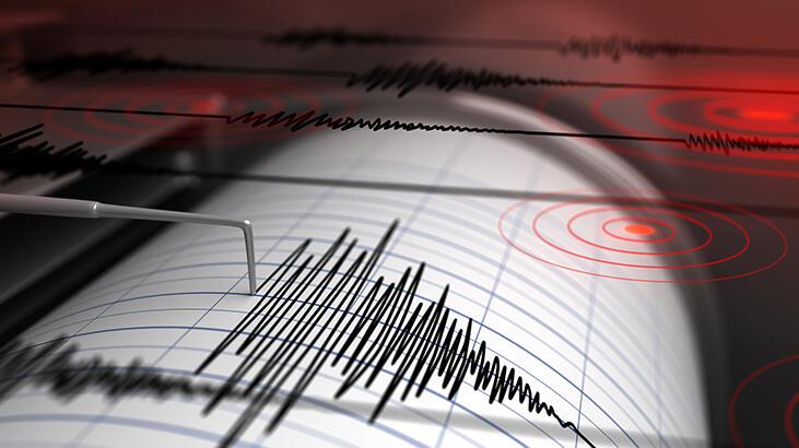  Van'da korkutan deprem