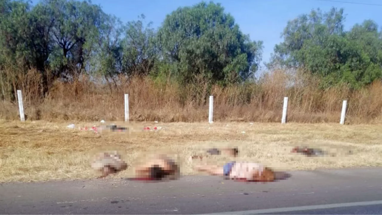  Yol kenarında infaz edilmiş 6 ceset bulundu