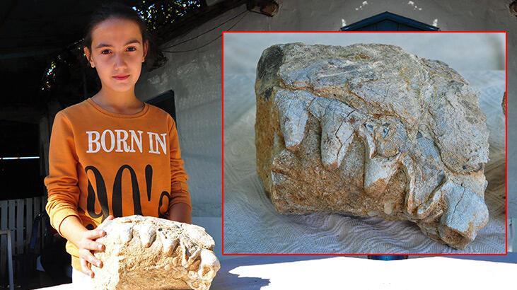 10 yaşındaki Elçin buldu, hemen korumaya alındı! Dişleri var