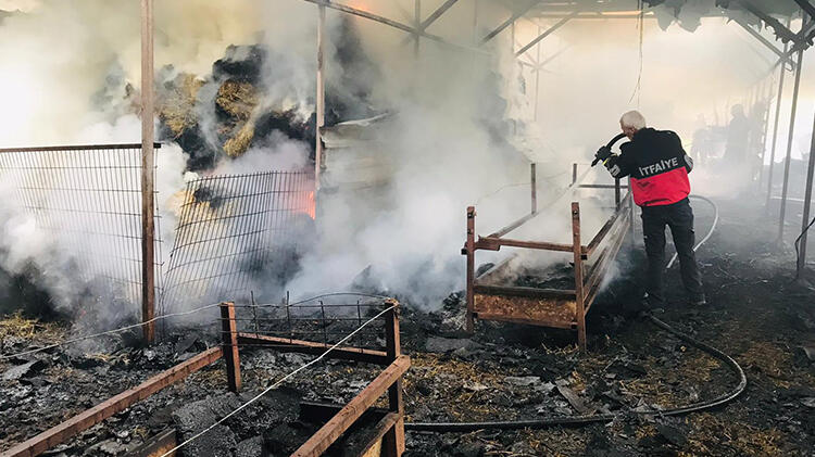 12 ton buğday, bin 200 adet saman balyası kül oldu!