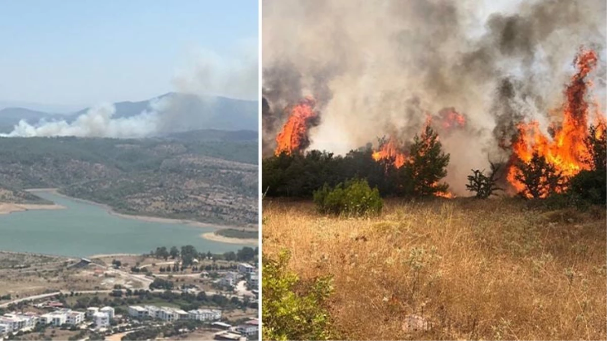 2 günde ikinci yangın! Milas'ta alevler kontrol altına alındı