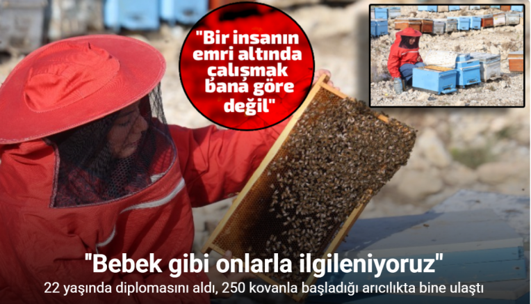 22 yaşında diplomasını aldı, 250 kovanla başladığı arıcılıkta bine ulaştı