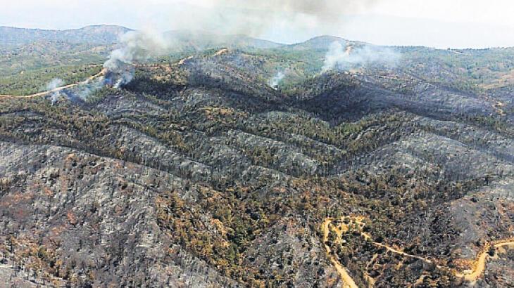 3 bin hektar alan yandı!