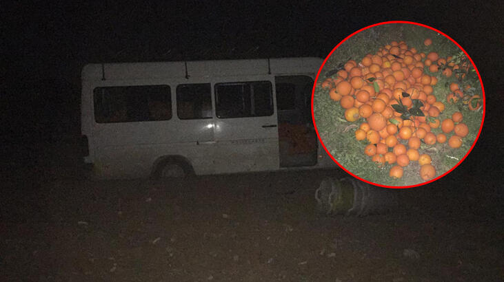 5 ton meyve çalan 5 şüpheli suçüstü yakalandı