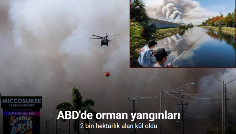 ABD'de orman yangınları: 2 bin hektarlık alan kül oldu