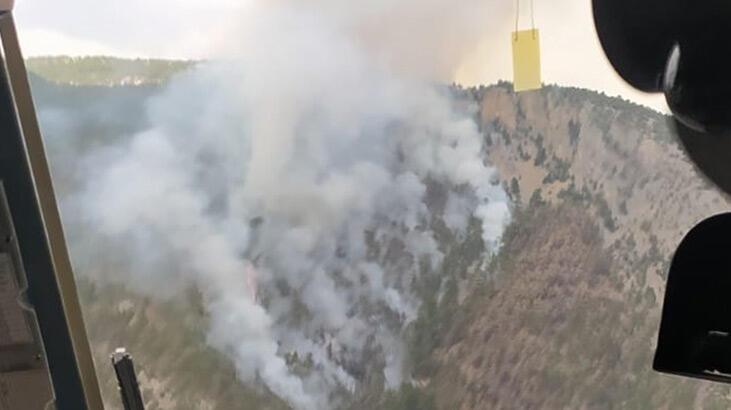 Adana Saimbeyli'de orman yangını