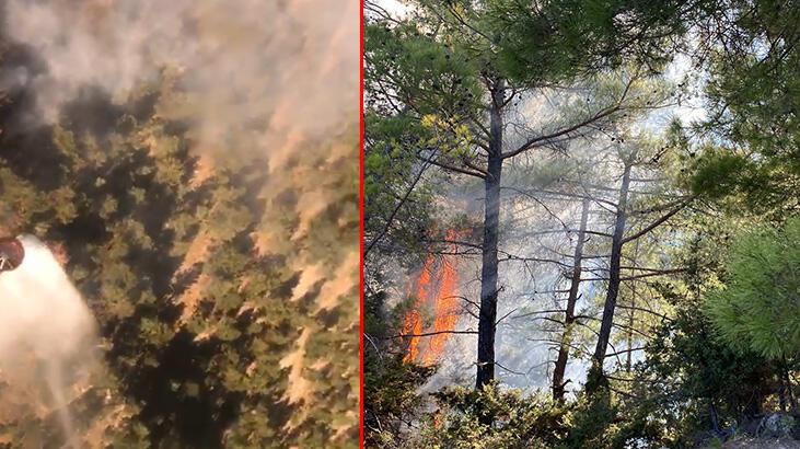 Adana'da 2 ilçede orman yangını! Havadan ve karadan müdahale ediliyor
