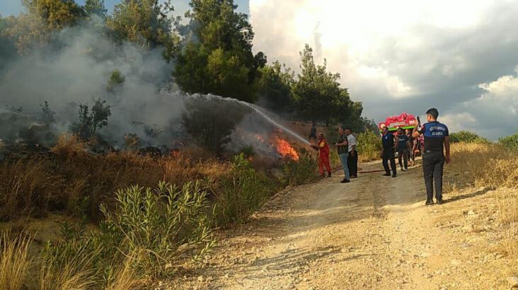 Adana'da çıkan orman yangını kontrol altına alındı