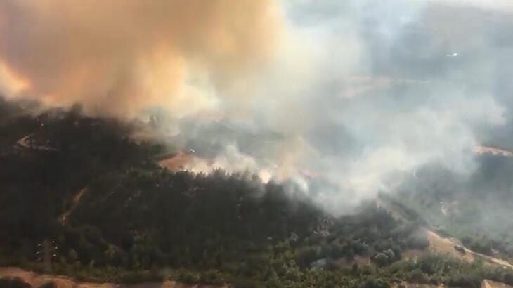 Adana'da orman yangını ekipler seferber oldu