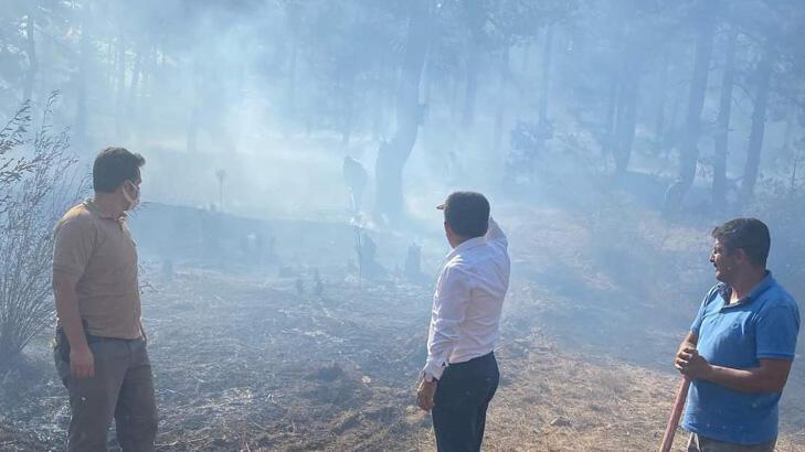 Adana'da orman yangını kontrol altına alındı!