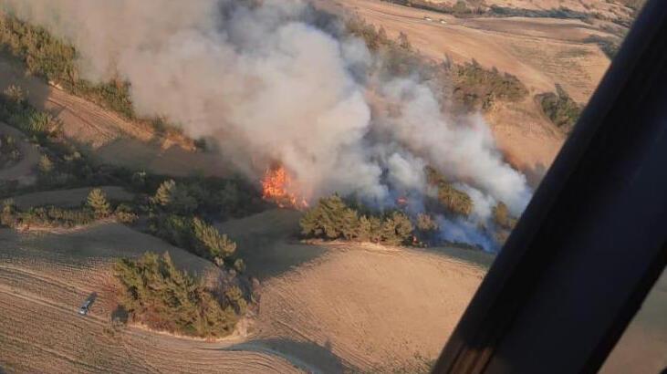Adana'da ormanlık alanda çıkan yangın kontrol altına alındı
