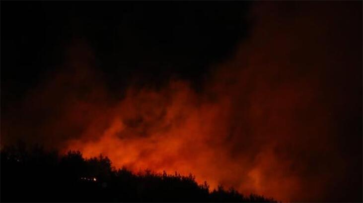 Adana'daki orman yangını kontrol altına alındı