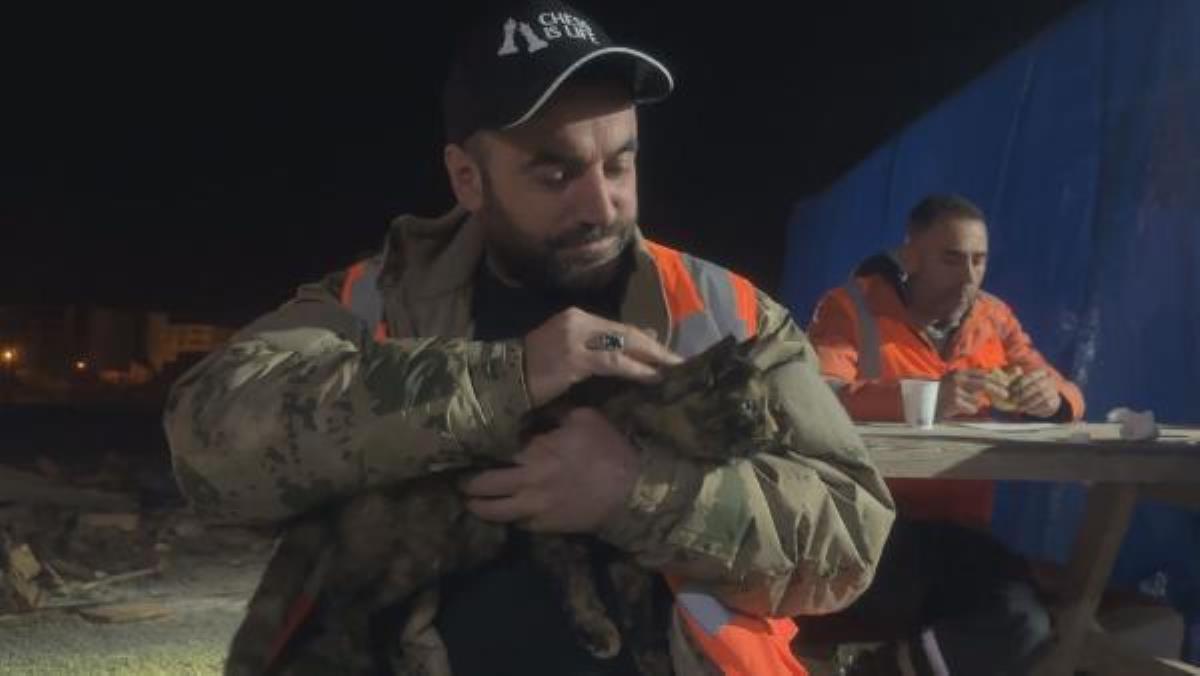Afşin'de enkazdan kurtarılan kedi, Çorum'da yeni yuvasında