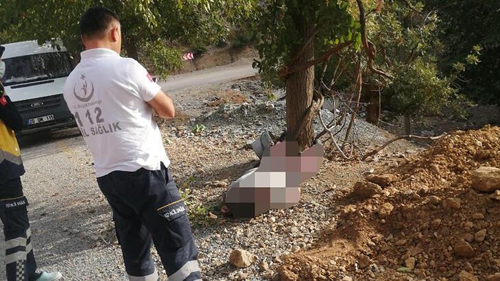 Ağaçtan düşen adam feci şekilde can verdi!