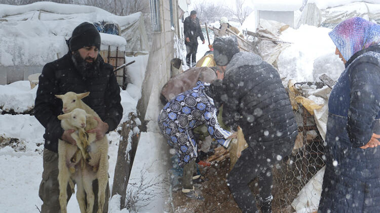 Ahırın çatısı kar nedeniyle çöktü! 150 hayvan için seferber olundular