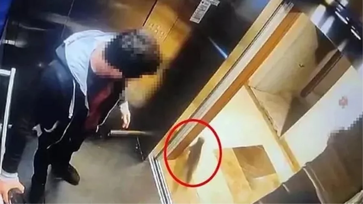 AK Parti Sözcüsü Çelik'ten 