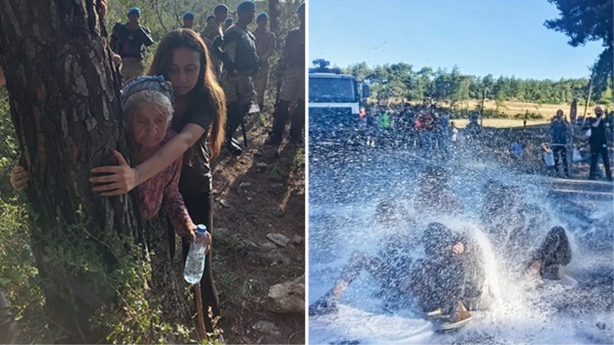 Akbelen'de ağaç kesim işlemleri sona erdi! İşte protestolardan geriye kalan fotoğraflar