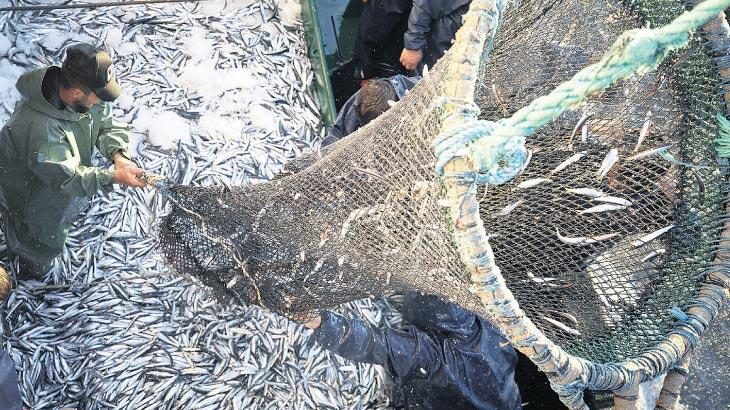 Akdeniz’de tesadüfi avlanmayla mücadele