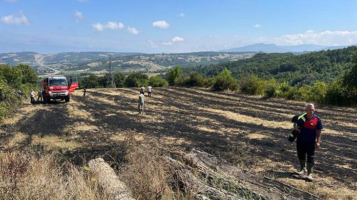 Akıma kapılan karga, anız yangınına neden oldu