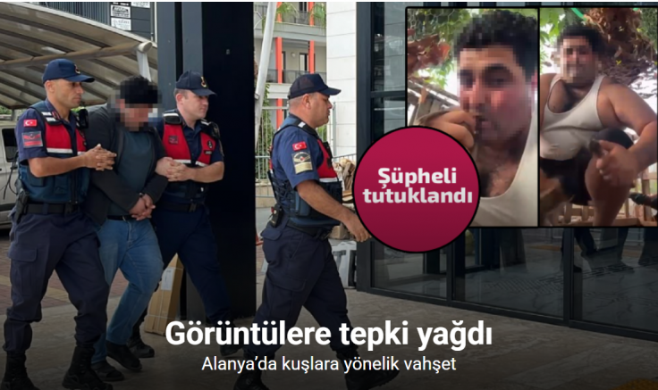 Alanya’da kuşlara vahşet uygulayan şüpheli tutuklandı
