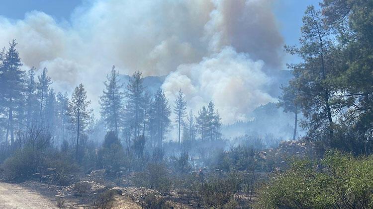 Alevler kısa sürede yayıldı! Burdur'da orman yangını