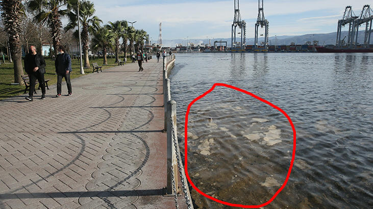 Alg patlaması' İzmit Körfezi'nin rengini değiştirdi