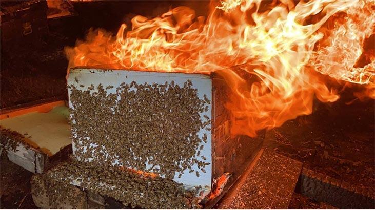 Alkışlanacak hareket! Binlercesini böyle kurtardı