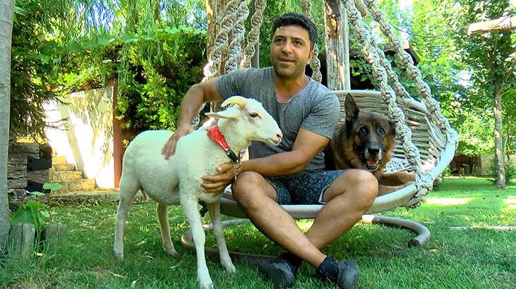 Annesinin kabul etmediği üç aylık kuzuya evladı gibi bakıyor