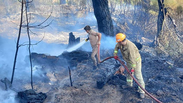 Antalya'da bahçede başlayıp, ormana sıçrayan yangın söndürüldü