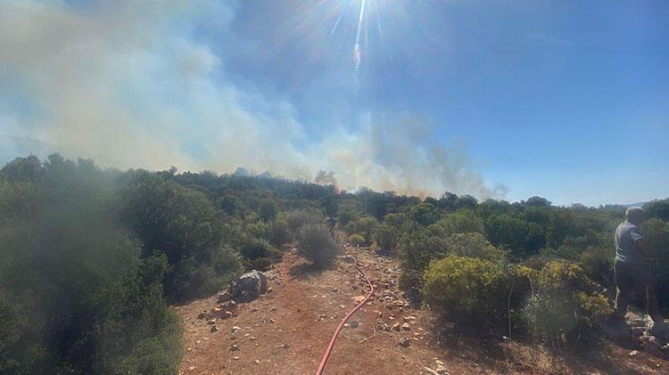 Antalya'da makilik alanda yangın başladı
