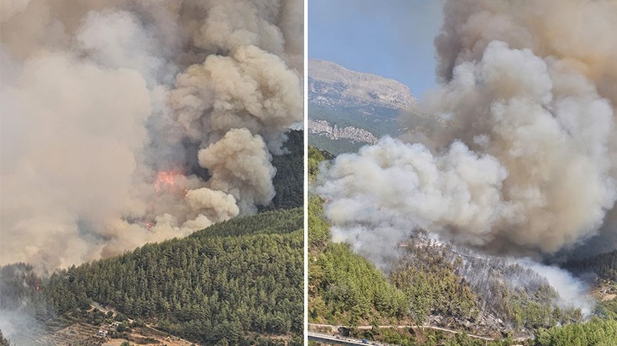 Antalya'da orman yangını! Alevler rüzgarın etkisiyle büyüdü, 13 ev boşaltıldı