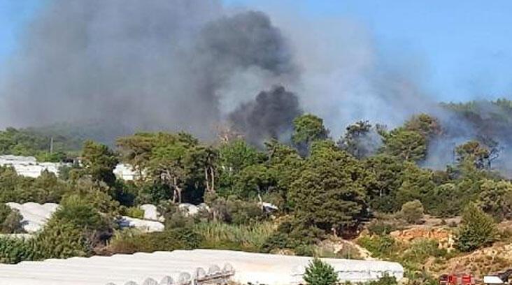 Antalya'da orman yangını! Müdahale başladı