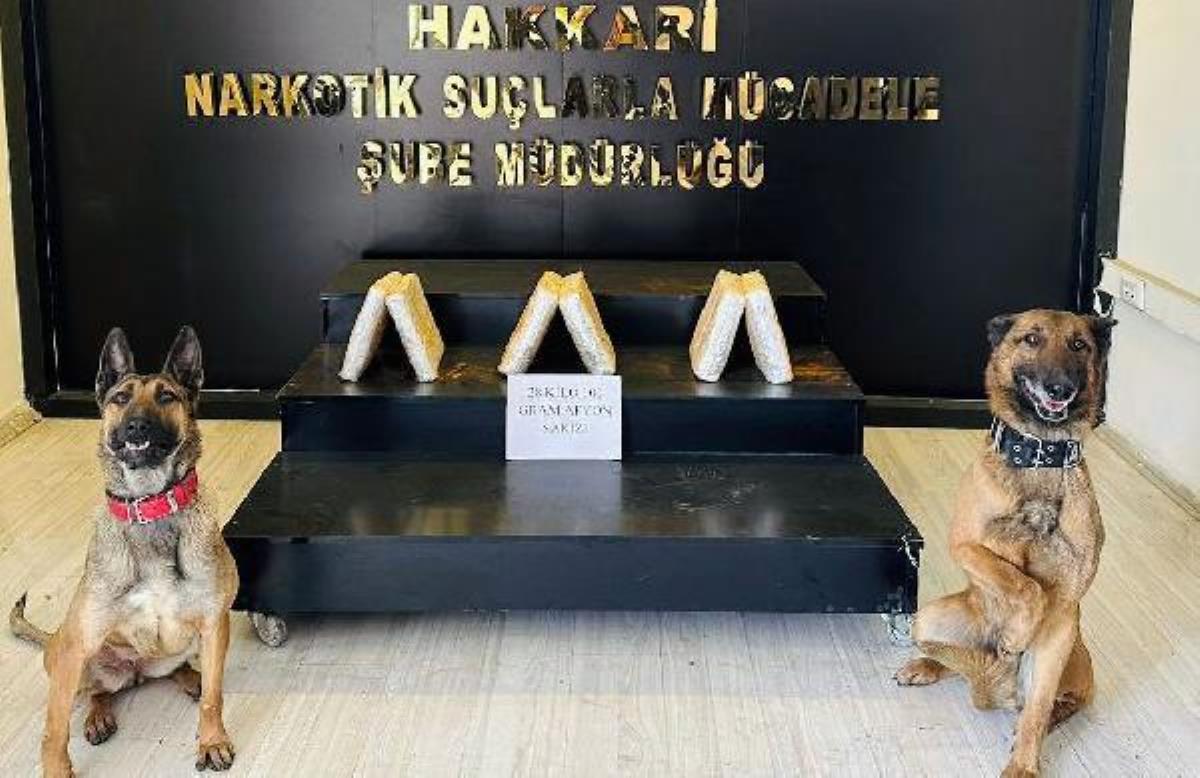 Araçtaki uyuşturucuyu narkotik köpekleri 'Ayzek' ve 'Bella' buldu