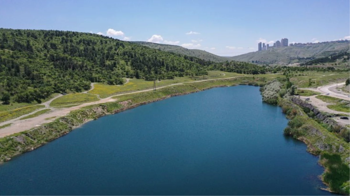 Aralıksız yağışlar Ankara'yı adeta Karadeniz'e çevirdi! Dağlar tepeler yeşil örtüyle kaplandı