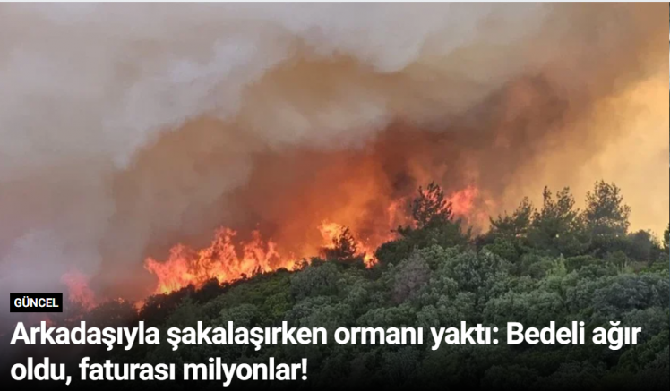 Arkadaşıyla şakalaşırken ormanı yaktı: Bedeli ağır oldu, faturası milyonlar!