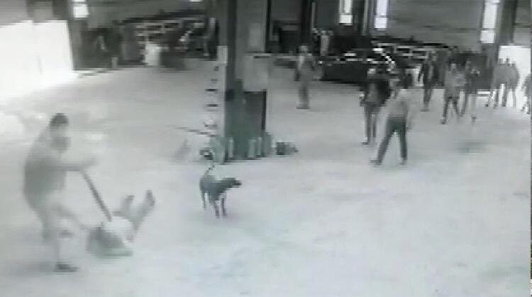 Arnavutköy'de film sahnelerini aratmayan baskın!