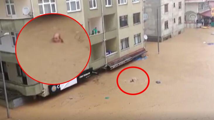 Artvin'de boğulmak üzere olan çift böyle kurtarıldı
