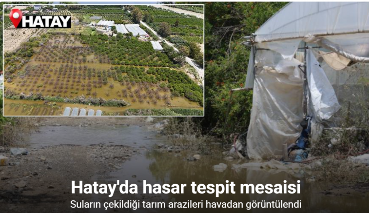 Aşırı yağışlarla sular altında kalan tarım arazilerindeki hasar sular çekilince ortaya çıktı